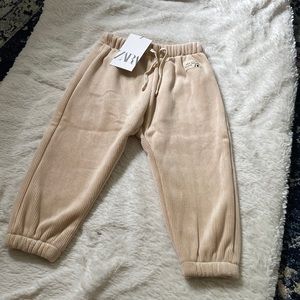 Zara velvet sweatpants